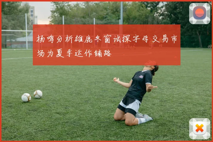 杨鸣分析雄鹿冬窗试探字母交易市场为夏季运作铺路